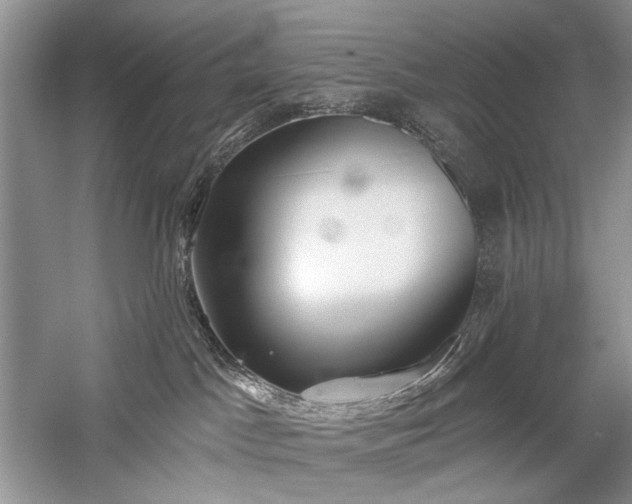 X0000059820045200510211158