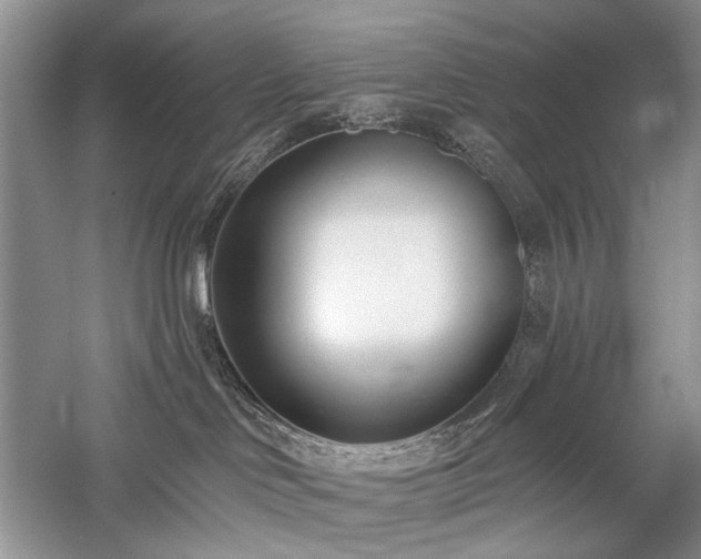 X0000059820046200510211158