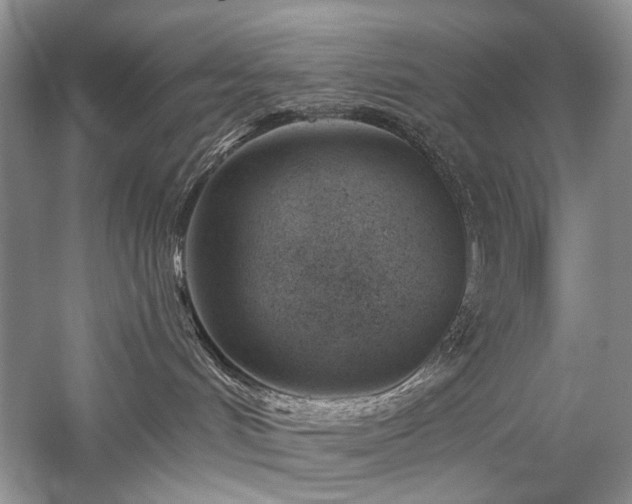 X0000059820048200510211158