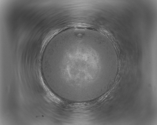 X0000059820049200510211157