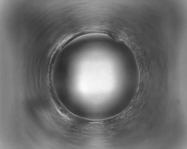 X0000059820050200510211157