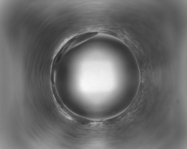 X0000059820052200510211157