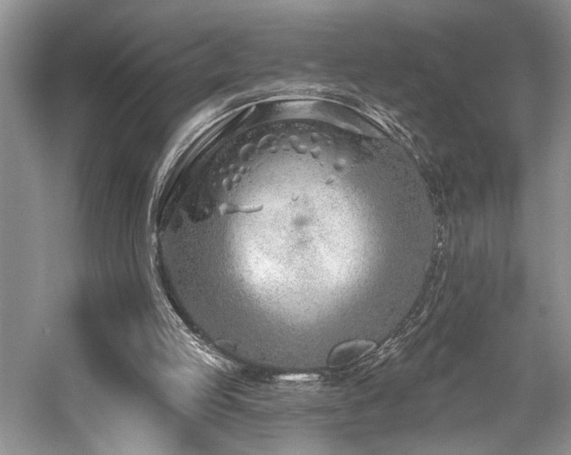 X0000059820053200510211157