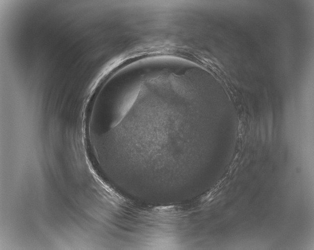 X0000059820054200510211157