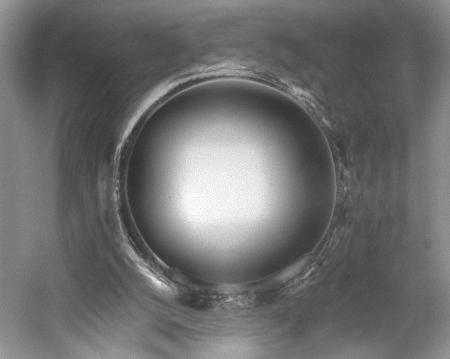 X0000059820056200510211157