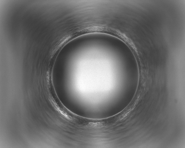 X0000059820057200510211157