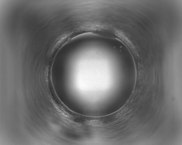 X0000059820058200510211157