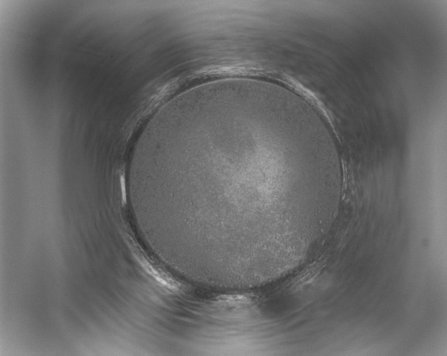 X0000059820061200510211157