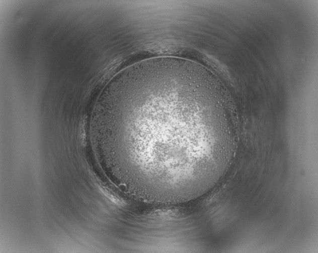 X0000059820065200510211157