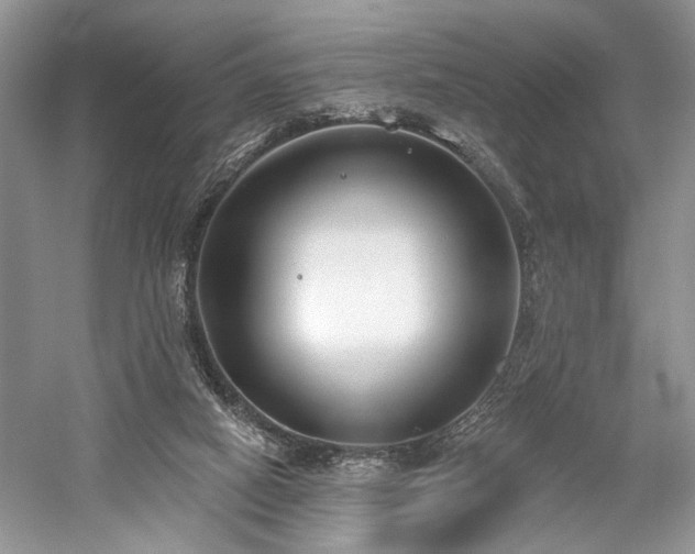 X0000059820066200510211157