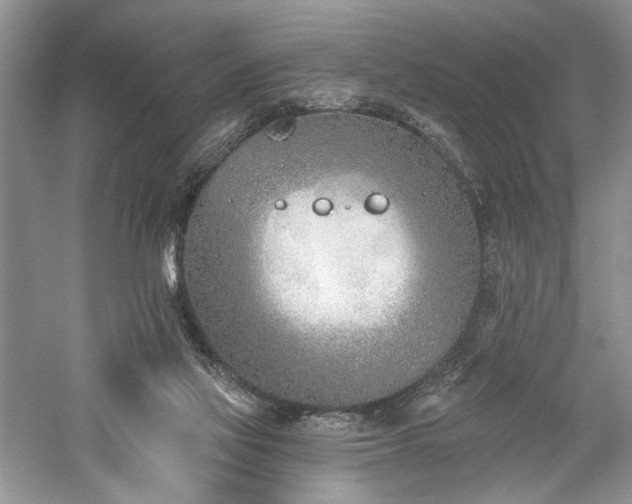 X0000059820069200510211157