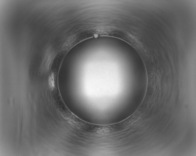 X0000059820075200510211158