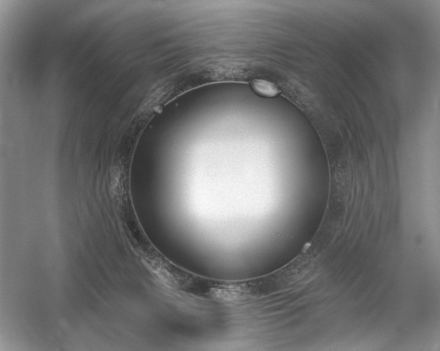 X0000059820079200510211158