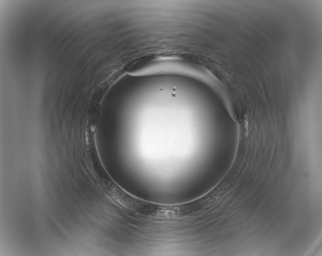 X0000059820080200510211158