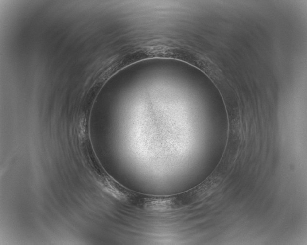 X0000059820081200510211158