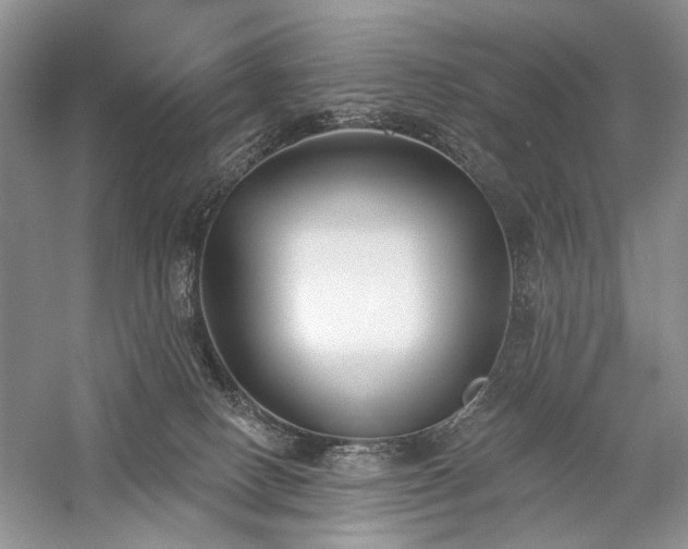 X0000059820082200510211158