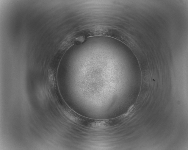 X0000059820086200510211158