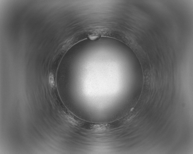 X0000059820089200510211158