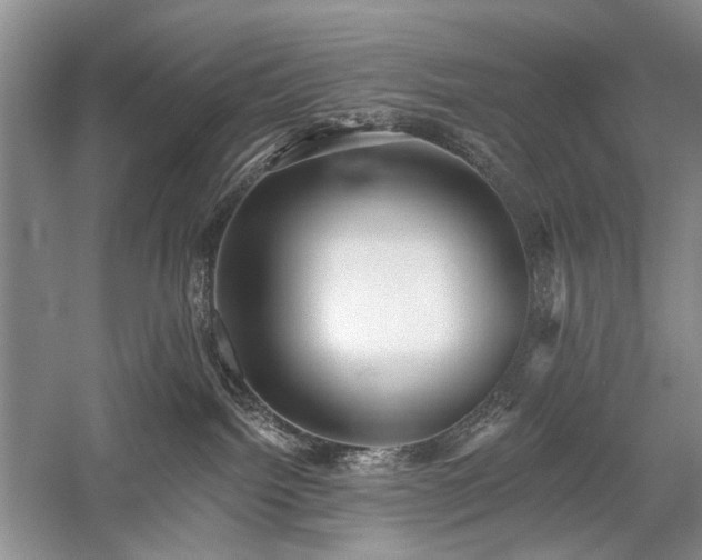 X0000059820092200510211158