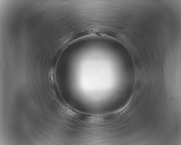 X0000059820094200510211158