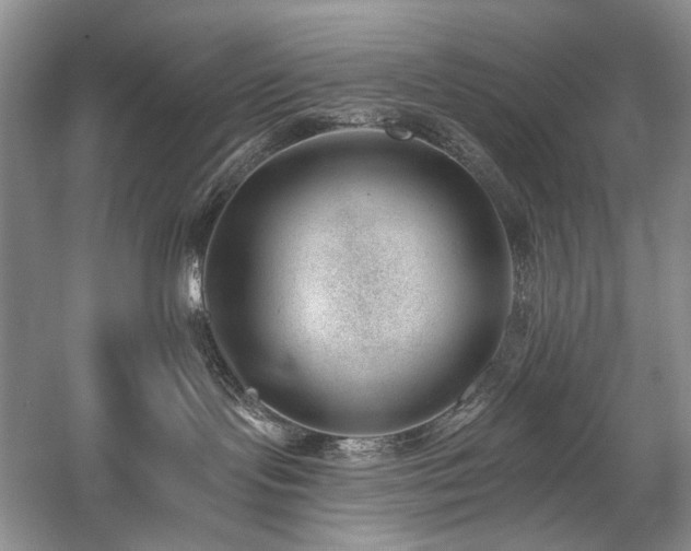 X0000059820095200510211158