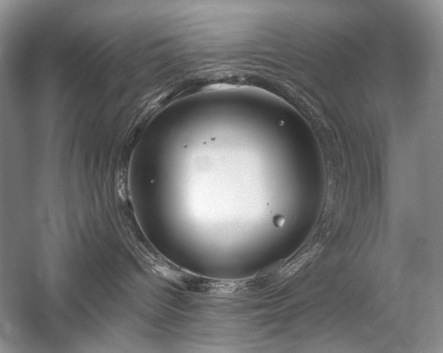 X0000059820096200510211158