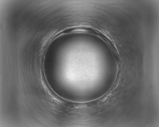 X0000059820097200510211157