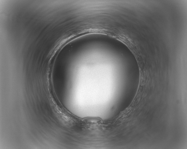 X0000059820098200510211157