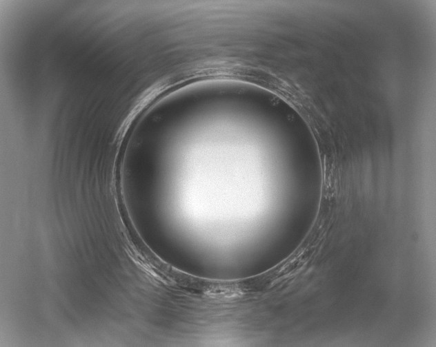 X0000059820099200510211157