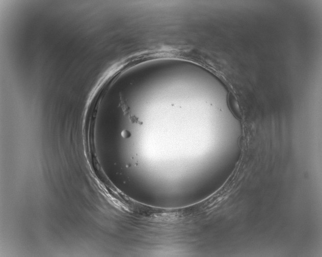 X0000059820102200510211157