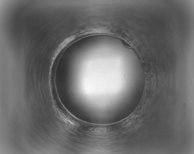 X0000059820104200510211157