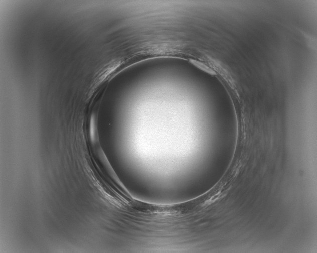 X0000059820105200510211157