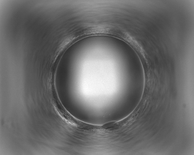 X0000059820107200510211157