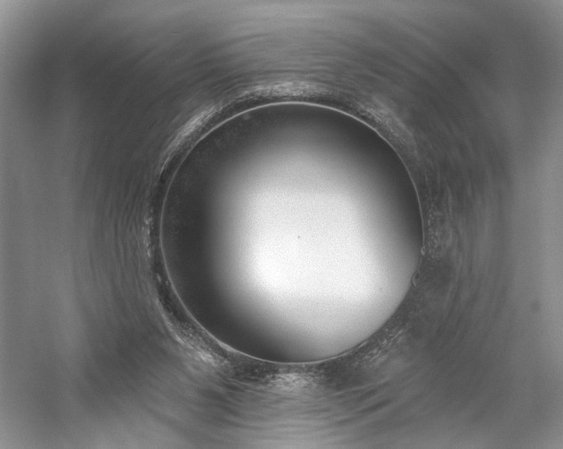 X0000059820111200510211157