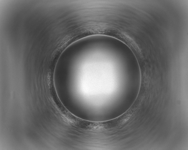 X0000059820113200510211157