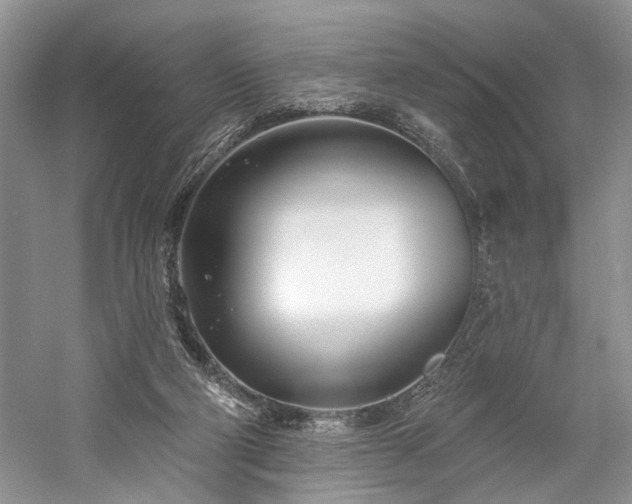 X0000059820114200510211157