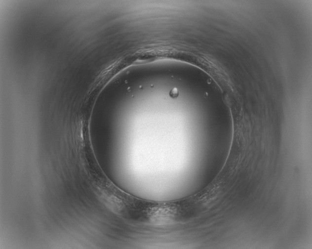 X0000059820115200510211157