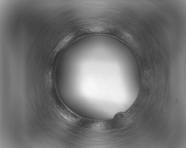 X0000059820116200510211157