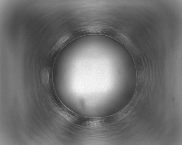 X0000059820120200510211157