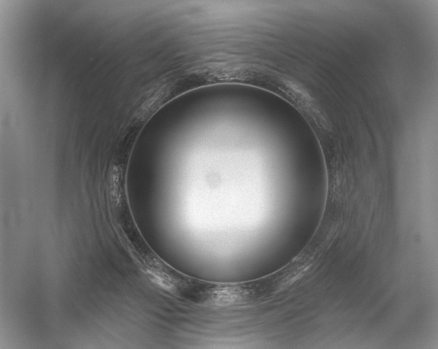 X0000059820121200510211157