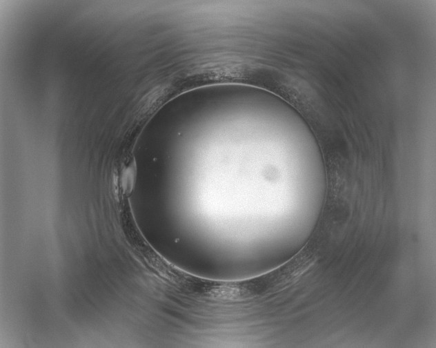 X0000059820123200510211157