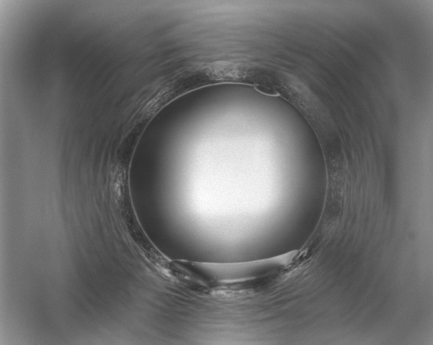 X0000059820125200510211157