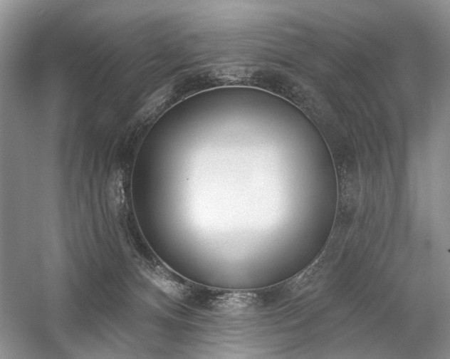 X0000059820128200510211157