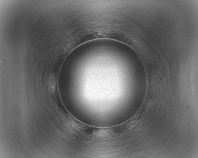 X0000059820129200510211157