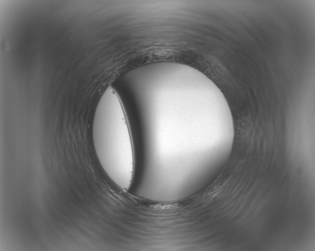 X0000059820135200510211156