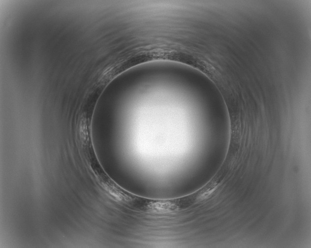 X0000059820137200510211156