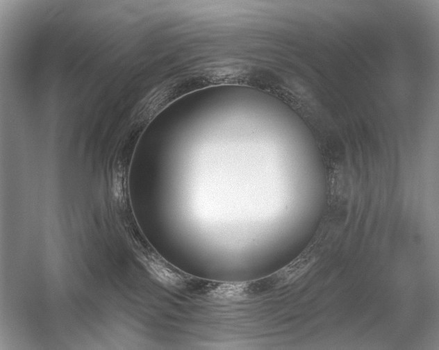 X0000059820138200510211156