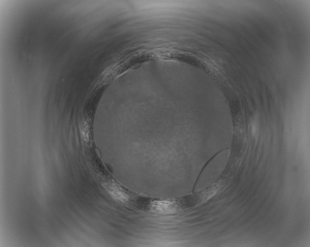 X0000059820139200510211156