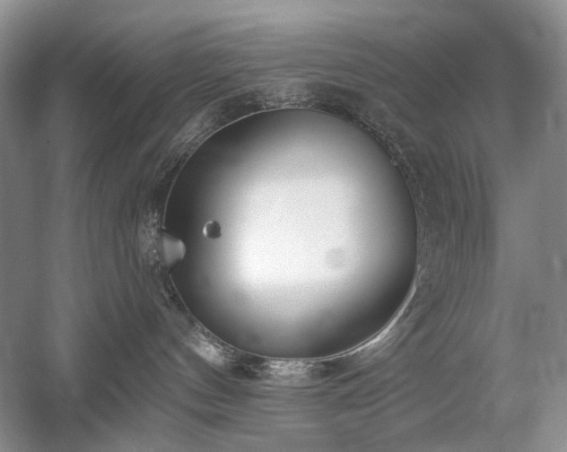 X0000059820144200510211156