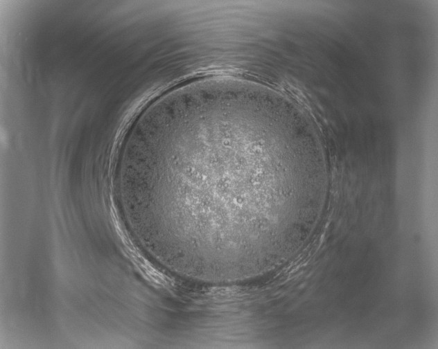 X0000059820145200510211155